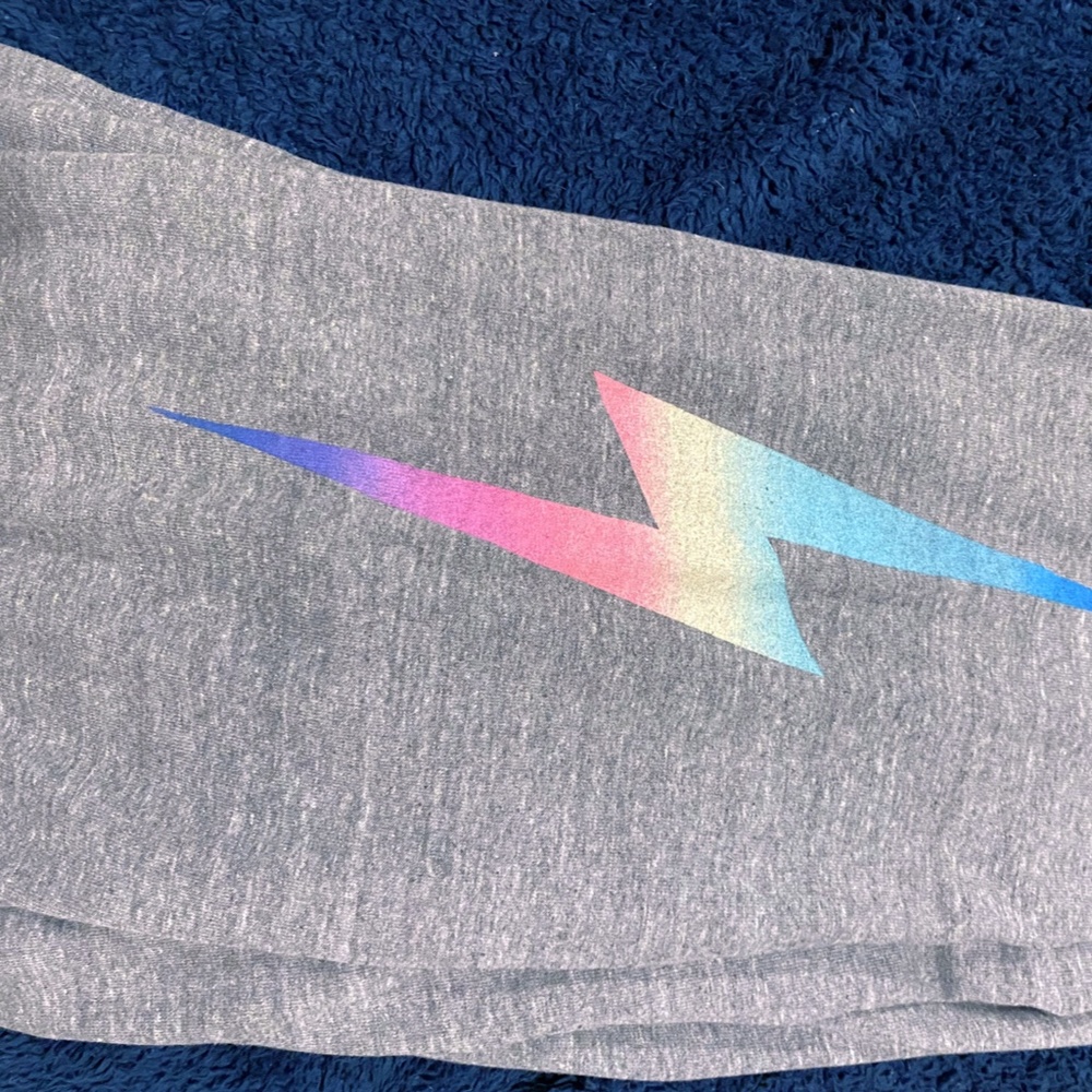 Aviator Nation Med Gray Bolt Sweatpants sz L